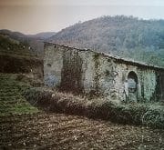 Mola della Refóta