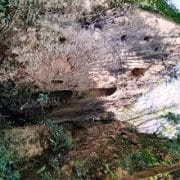 Mulino di Gete (nome attribuito)