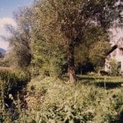 Mulino dei Meni