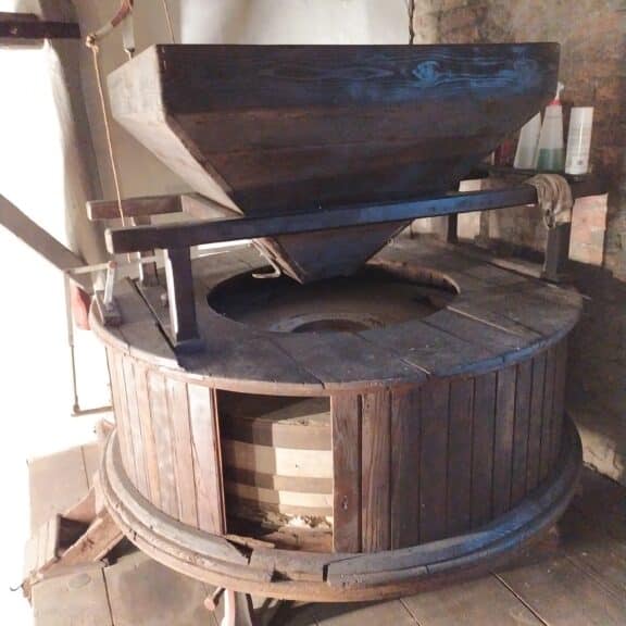 Grani antichi al Pizzon